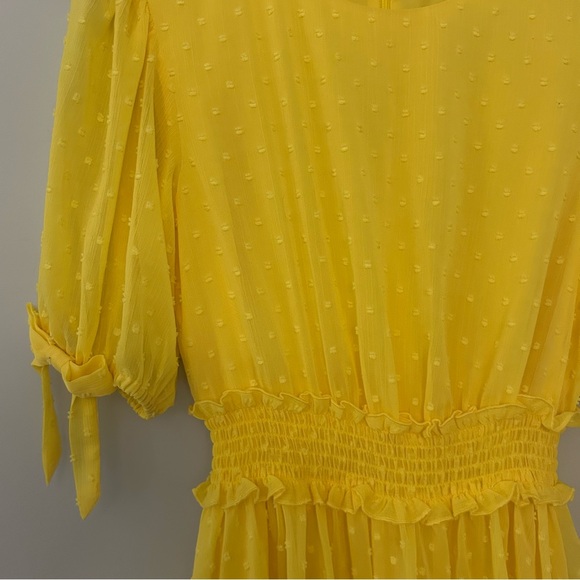 Rachel Parcell Smocked Waist Swiss Dot Dress - Picture 6 of 9